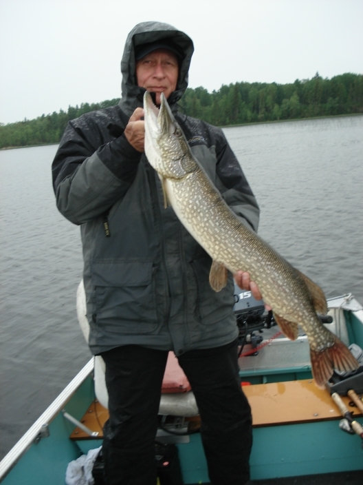 Bob 40 Inch  Northern June 2012-e