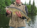Holcomb2
