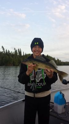 normal_Franzen6