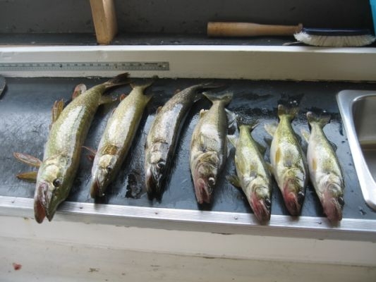 normal_Gransee3-e