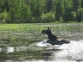 Dauner Fishing Trip - 2008 025